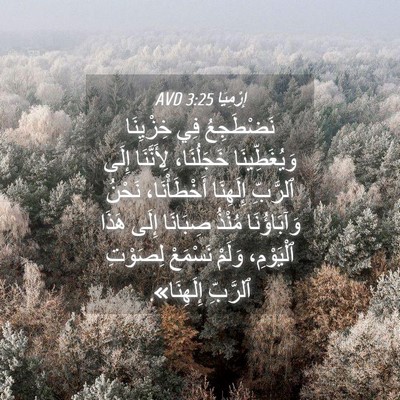 Picture 04 - إِرْمِيَا 3:25 AVD - نَضْطَجِعُ فِي خِزْيِنَا - Bible Verse Picture