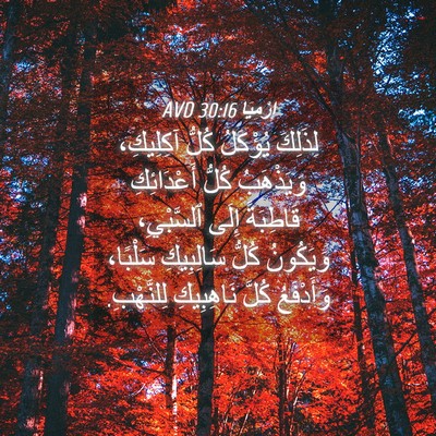 Picture 04 - إِرْمِيَا 30:16 AVD - لِذَلِكَ يُؤْكَلُ كُلُّ - Bible Verse Picture