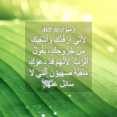Picture 04 - إِرْمِيَا 30:17 AVD - لِأَنِّي أَرْفُدُكِ - Bible Verse Picture