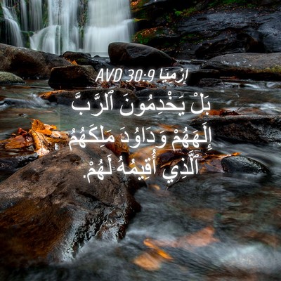 Picture 04 - إِرْمِيَا 30:9 AVD - بَلْ يَخْدِمُونَ ٱلرَّبَّ - Bible Verse Picture