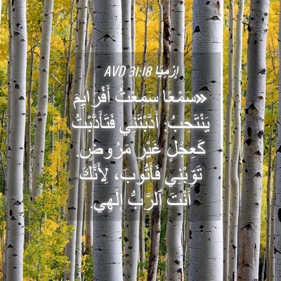 Picture 04 - إِرْمِيَا 31:18 AVD - «سَمْعًا سَمِعْتُ - Bible Verse Picture