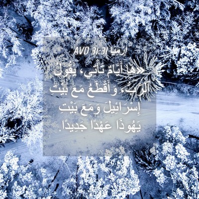 Picture 04 - إِرْمِيَا 31:31 AVD - «هَا أَيَّامٌ تَأْتِي، - Bible Verse Picture