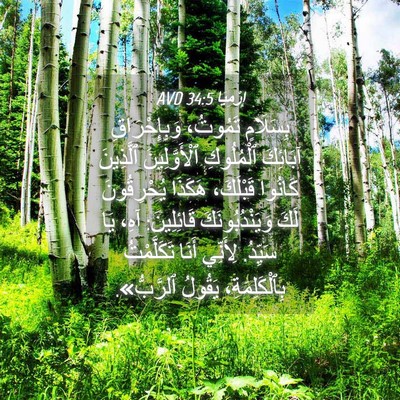 Picture 04 - إِرْمِيَا 34:5 AVD - بِسَلَامٍ تَمُوتُ، - Bible Verse Picture