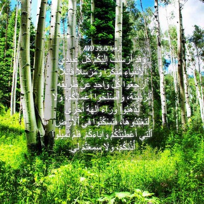 Picture 04 - إِرْمِيَا 35:15 AVD - وَقَدْ أَرْسَلْتُ - Bible Verse Picture