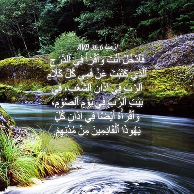 Picture 04 - إِرْمِيَا 36:6 AVD - فَٱدْخُلْ أَنْتَ - Bible Verse Picture