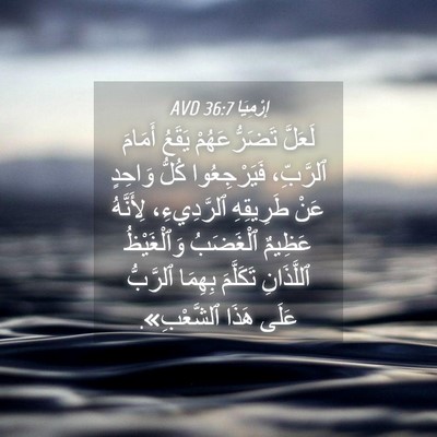 Picture 04 - إِرْمِيَا 36:7 AVD - لَعَلَّ تَضَرُّعَهُمْ - Bible Verse Picture