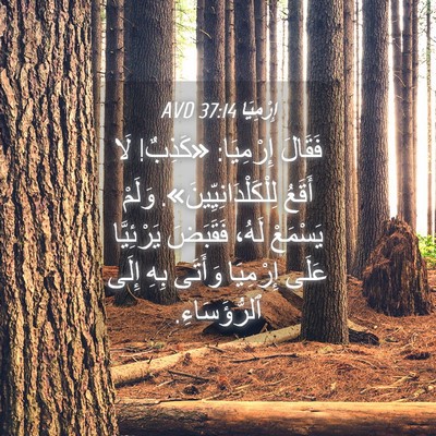 Picture 04 - إِرْمِيَا 37:14 AVD - فَقَالَ إِرْمِيَا: - Bible Verse Picture