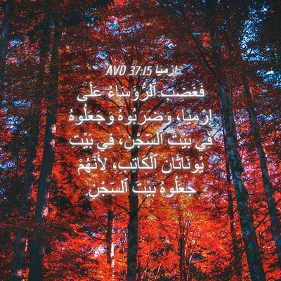 Picture 04 - إِرْمِيَا 37:15 AVD - فَغَضِبَ ٱلرُّؤَسَاءُ - Bible Verse Picture