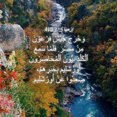 Picture 04 - إِرْمِيَا 37:5 AVD - وَخَرَجَ جَيْشُ - Bible Verse Picture