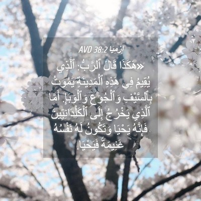 Picture 04 - إِرْمِيَا 38:2 AVD - «هَكَذَا قَالَ ٱلرَّبُّ: - Bible Verse Picture