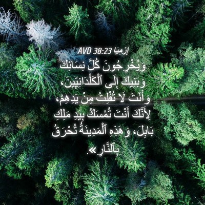 Picture 04 - إِرْمِيَا 38:23 AVD - وَيُخْرِجُونَ كُلَّ - Bible Verse Picture