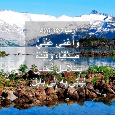 Picture 04 - إِرْمِيَا 39:7 AVD - وَأَعْمَى عَيْنَيْ - Bible Verse Picture