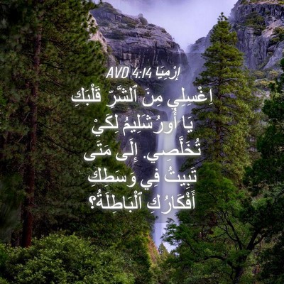 Picture 04 - إِرْمِيَا 4:14 AVD - اِغْسِلِي مِنَ ٱلشَّرِّ - Bible Verse Picture