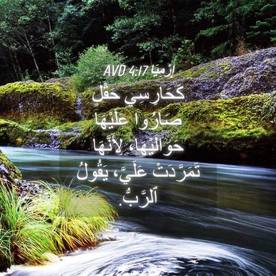 Picture 04 - إِرْمِيَا 4:17 AVD - كَحَارِسِي حَقْلٍ صَارُوا - Bible Verse Picture