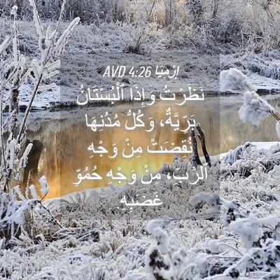 Picture 04 - إِرْمِيَا 4:26 AVD - نَظَرْتُ وَإِذَا - Bible Verse Picture