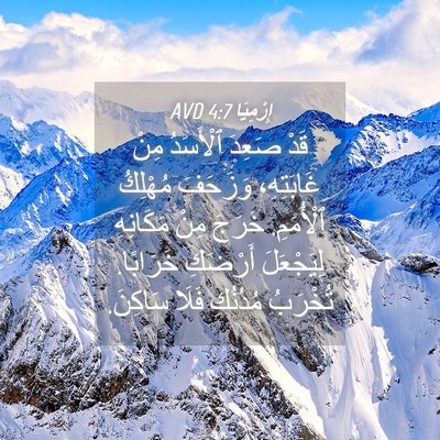 Picture 04 - إِرْمِيَا 4:7 AVD - قَدْ صَعِدَ ٱلْأَسَدُ مِنْ - Bible Verse Picture