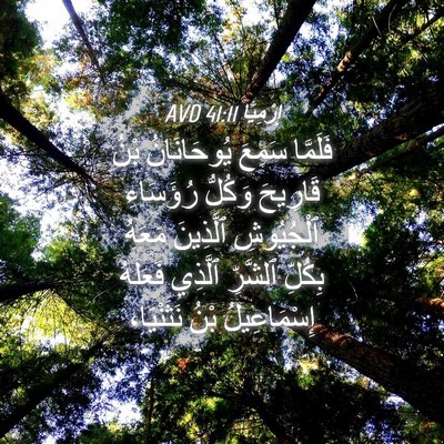 Picture 04 - إِرْمِيَا 41:11 AVD - فَلَمَّا سَمِعَ - Bible Verse Picture