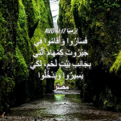 Picture 04 - إِرْمِيَا 41:17 AVD - فَسَارُوا وَأَقَامُوا فِي - Bible Verse Picture