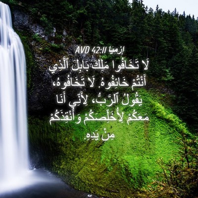 Picture 04 - إِرْمِيَا 42:11 AVD - لَا تَخَافُوا مَلِكَ - Bible Verse Picture