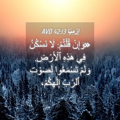Picture 04 - إِرْمِيَا 42:13 AVD - «وَإِنْ قُلْتُمْ: لَا - Bible Verse Picture