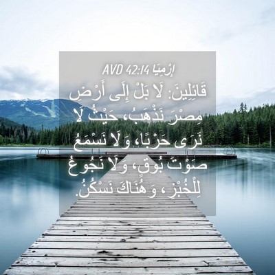 Picture 04 - إِرْمِيَا 42:14 AVD - قَائِلِينَ: لَا بَلْ إِلَى - Bible Verse Picture
