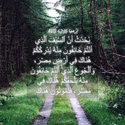 Picture 04 - إِرْمِيَا 42:16 AVD - يَحْدُثُ أَنَّ ٱلسَّيْفَ - Bible Verse Picture