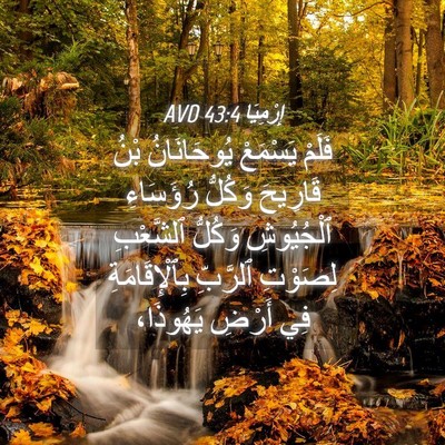 Picture 04 - إِرْمِيَا 43:4 AVD - فَلَمْ يَسْمَعْ - Bible Verse Picture