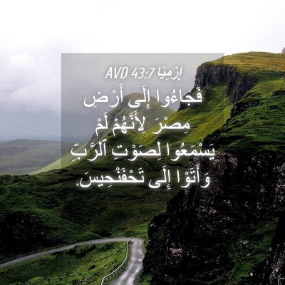 Picture 04 - إِرْمِيَا 43:7 AVD - فَجَاءُوا إِلَى أَرْضِ - Bible Verse Picture