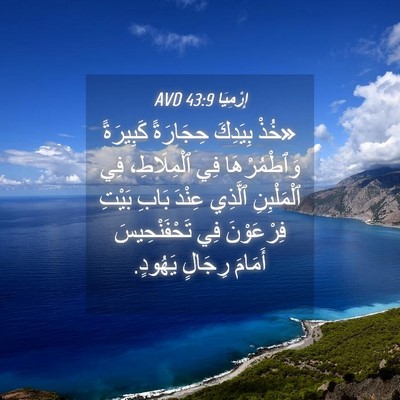 Picture 04 - إِرْمِيَا 43:9 AVD - «خُذْ بِيَدِكَ حِجَارَةً - Bible Verse Picture