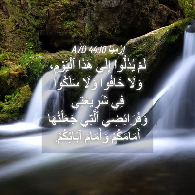 Picture 04 - إِرْمِيَا 44:10 AVD - لَمْ يُذَلُّوا إِلَى هَذَا - Bible Verse Picture