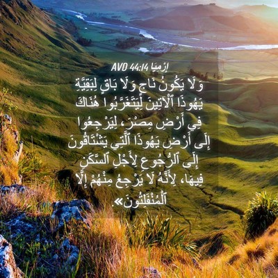 Picture 04 - إِرْمِيَا 44:14 AVD - وَلَا يَكُونُ نَاجٍ وَلَا - Bible Verse Picture