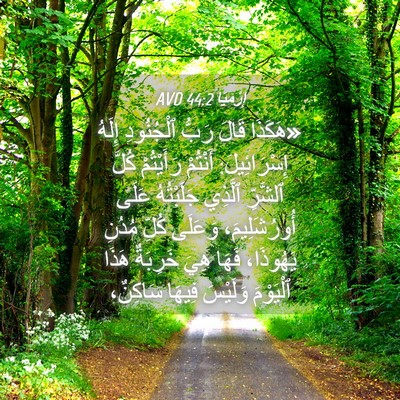 Picture 04 - إِرْمِيَا 44:2 AVD - «هَكَذَا قَالَ رَبُّ - Bible Verse Picture