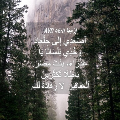 Picture 04 - إِرْمِيَا 46:11 AVD - ٱصْعَدِي إِلَى جِلْعَادَ - Bible Verse Picture