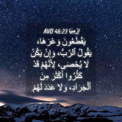 Picture 04 - إِرْمِيَا 46:23 AVD - يَقْطَعُونَ وَعْرَهَا، - Bible Verse Picture