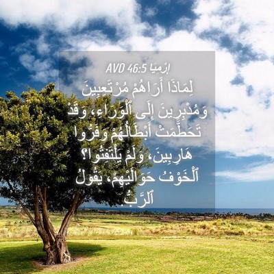 Picture 04 - إِرْمِيَا 46:5 AVD - لِمَاذَا أَرَاهُمْ - Bible Verse Picture