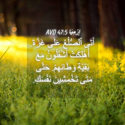 Picture 04 - إِرْمِيَا 47:5 AVD - أَتَى ٱلصُّلْعُ عَلَى - Bible Verse Picture
