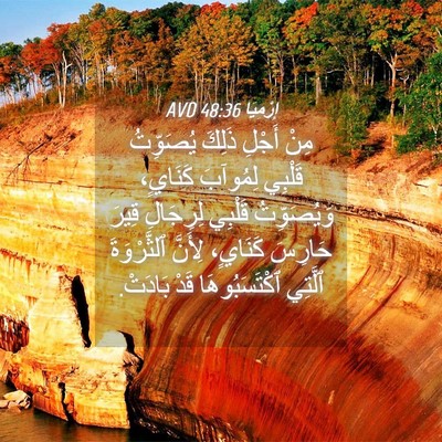 Picture 04 - إِرْمِيَا 48:36 AVD - مِنْ أَجْلِ ذَلِكَ - Bible Verse Picture