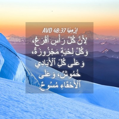 Picture 04 - إِرْمِيَا 48:37 AVD - لِأَنَّ كُلَّ رَأْسٍ - Bible Verse Picture