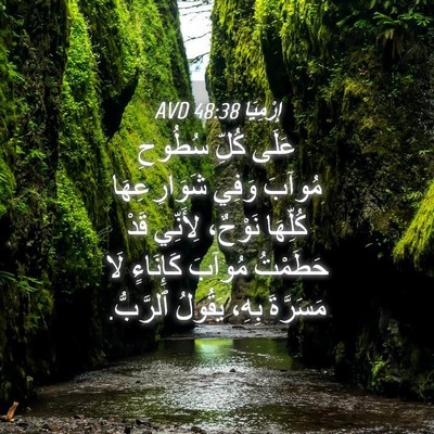 Picture 04 - إِرْمِيَا 48:38 AVD - عَلَى كُلِّ سُطُوحِ مُوآبَ - Bible Verse Picture