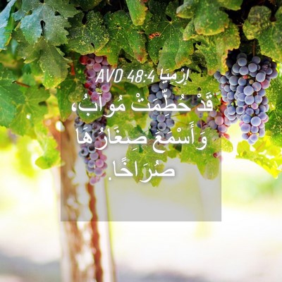 Picture 04 - إِرْمِيَا 48:4 AVD - قَدْ حُطِّمَتْ مُوآبُ، - Bible Verse Picture