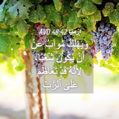 Picture 04 - إِرْمِيَا 48:42 AVD - وَيَهْلِكُ مُوآبُ عَنْ - Bible Verse Picture