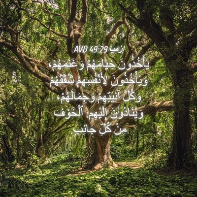 Picture 04 - إِرْمِيَا 49:29 AVD - يَأْخُذُونَ خِيَامَهُمْ - Bible Verse Picture