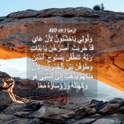 Picture 04 - إِرْمِيَا 49:3 AVD - وَلْوِلِي يَاحَشْبُونُ - Bible Verse Picture