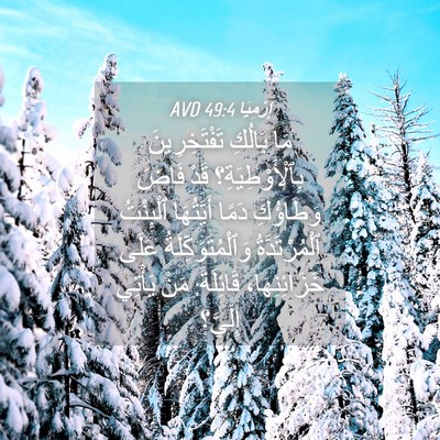 Picture 04 - إِرْمِيَا 49:4 AVD - مَا بَالُكِ تَفْتَخِرِينَ - Bible Verse Picture