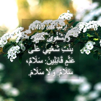Picture 04 - إِرْمِيَا 6:14 AVD - وَيَشْفُونَ كَسْرَ بِنْتِ - Bible Verse Picture