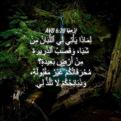 Picture 04 - إِرْمِيَا 6:20 AVD - لِمَاذَا يَأْتِي لِي - Bible Verse Picture