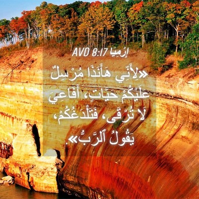 Picture 04 - إِرْمِيَا 8:17 AVD - «لِأَنِّي هَأَنَذَا - Bible Verse Picture