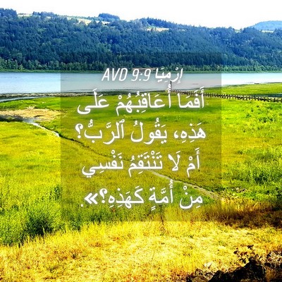 Picture 04 - إِرْمِيَا 9:9 AVD - أَفَمَا أُعَاقِبُهُمْ - Bible Verse Picture