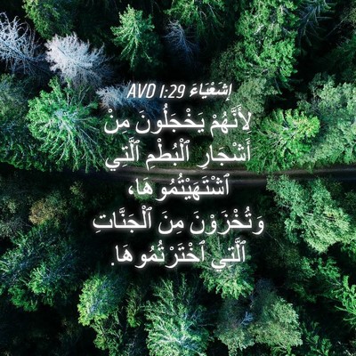 Picture 04 - إِشَعْيَاءَ 1:29 AVD - لِأَنَّهُمْ يَخْجَلُونَ - Bible Verse Picture