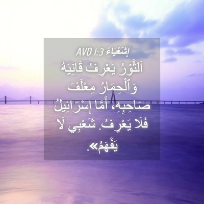 Picture 04 - إِشَعْيَاءَ 1:3 AVD - اَلثَّوْرُ يَعْرِفُ - Bible Verse Picture